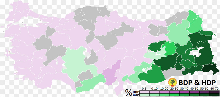 Turkey Turkish Local Elections, 2014 General Election, 2018 PNG