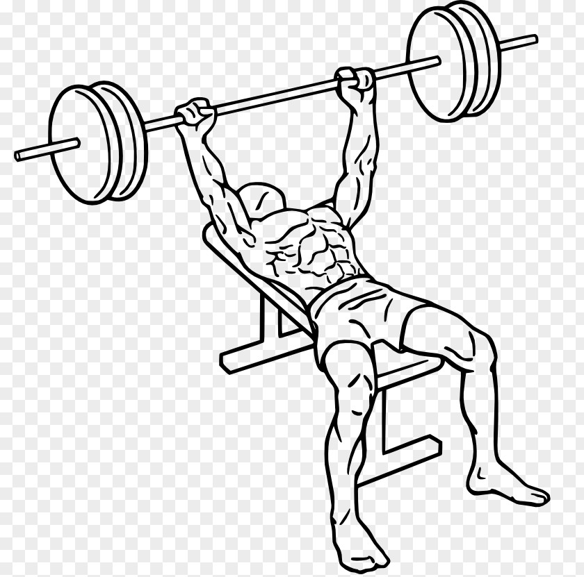Bench Press Fly Barbell Smith Machine PNG
