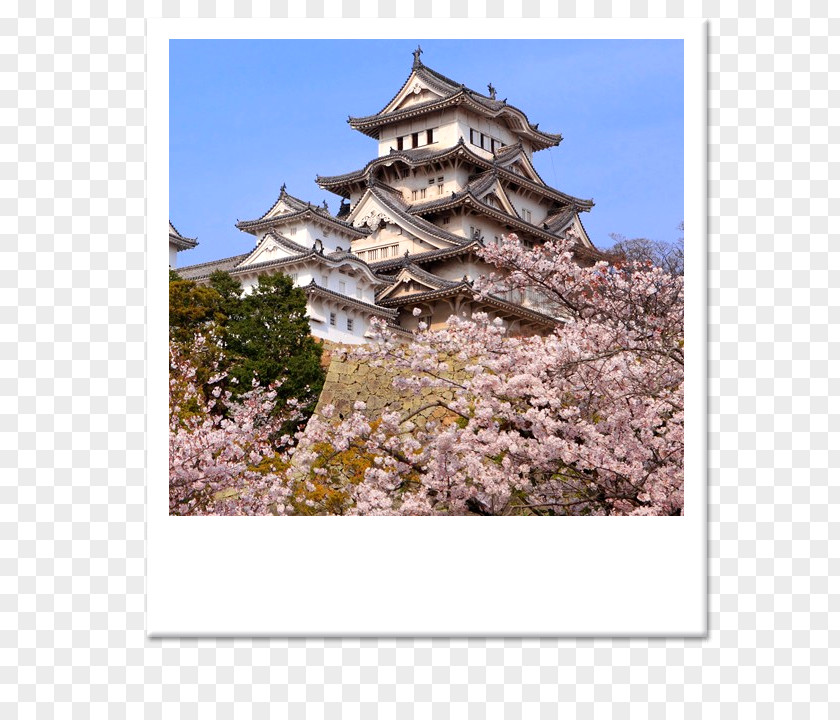 Castle Himeji Edo Osaka Japanese PNG