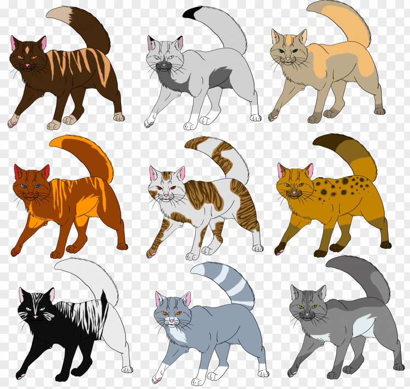 Chimera Tonkinese Cat Kitten Warriors Animal Coat Genetics PNG