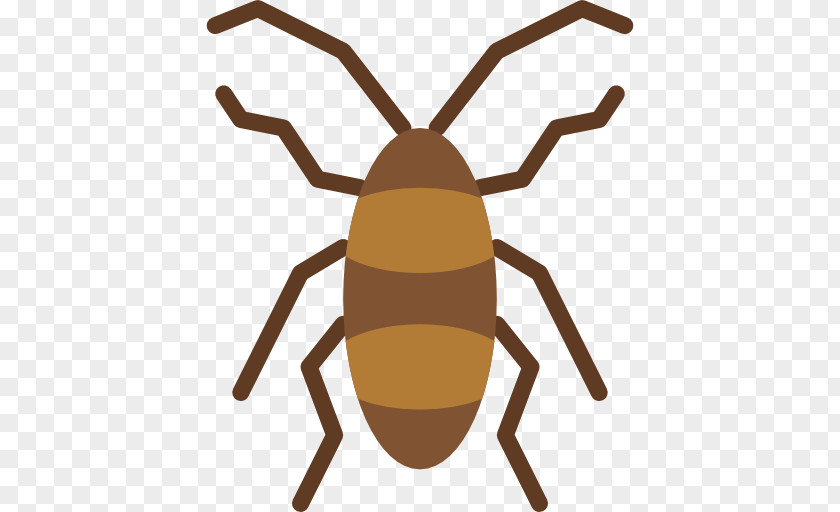 Cockroach Insect In Phone Termite PNG