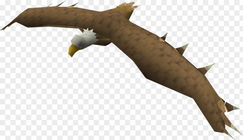 Eagle RuneScape Bird Wiki Non-player Character PNG