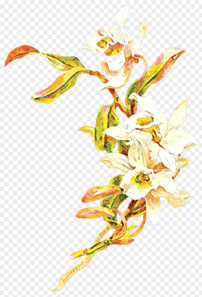Flowering Plant Pedicel Flower PNG