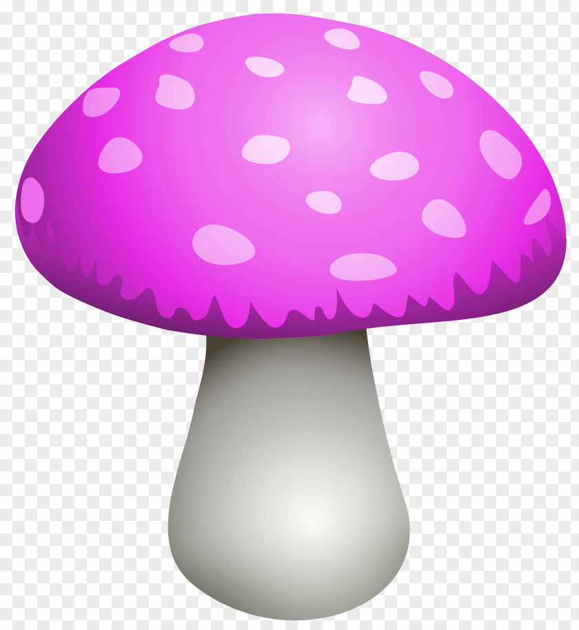 Mushroom Amanita Muscaria Edible Clip Art PNG