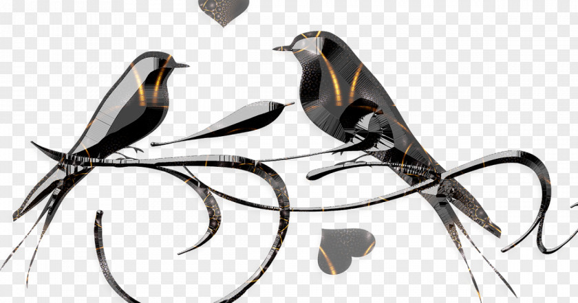 Perching Bird Beak Silhouette PNG