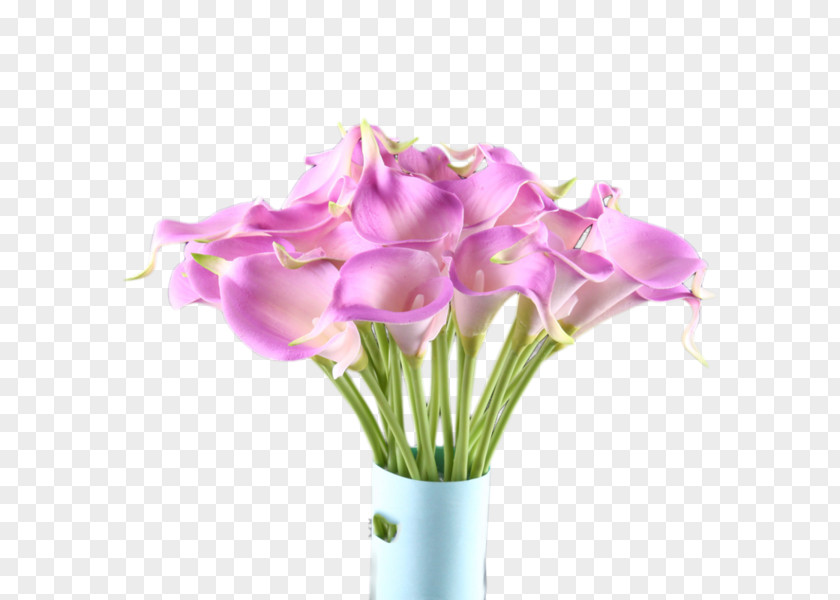 Purple Calla Flower Arum-lily Clip Art PNG