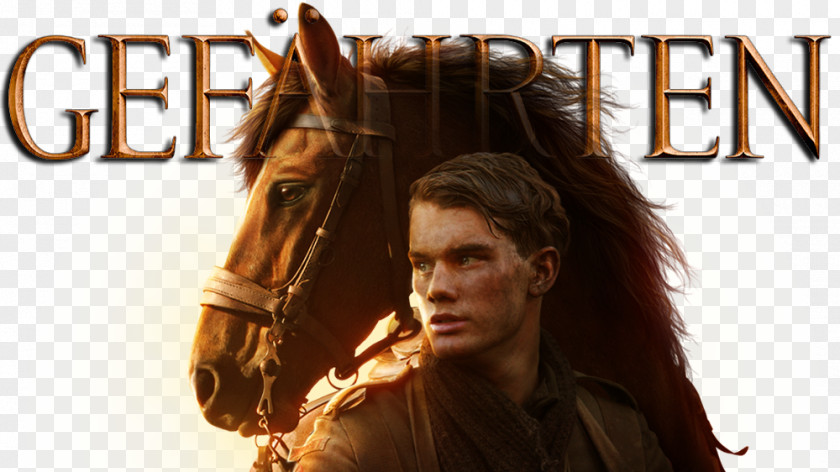 War Horse Steven Spielberg Albert Narracott Film PNG