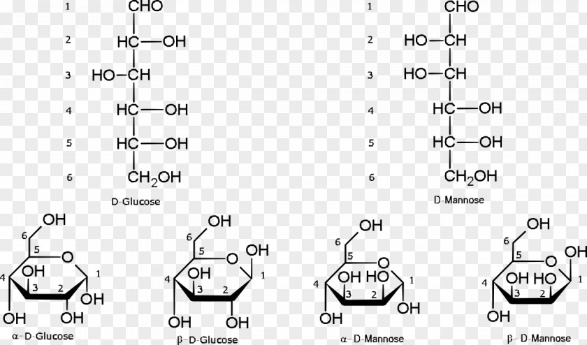 Aldohexose Open-chain Compound L-Glucose Galactose Mannose PNG