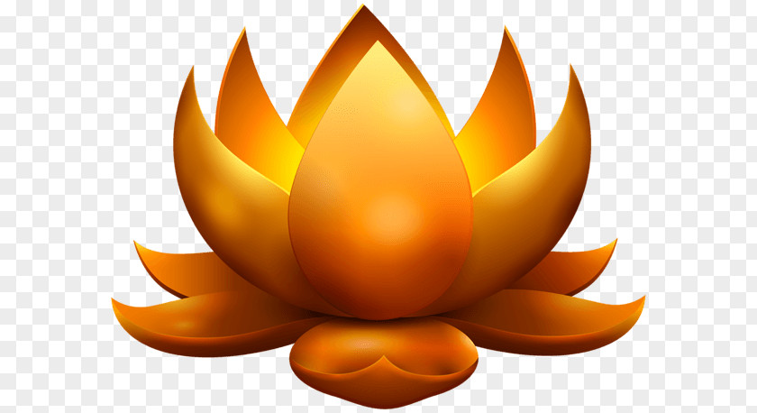 Gold Lotus Diwali PNG Diwali, orange water lily flower art clipart PNG
