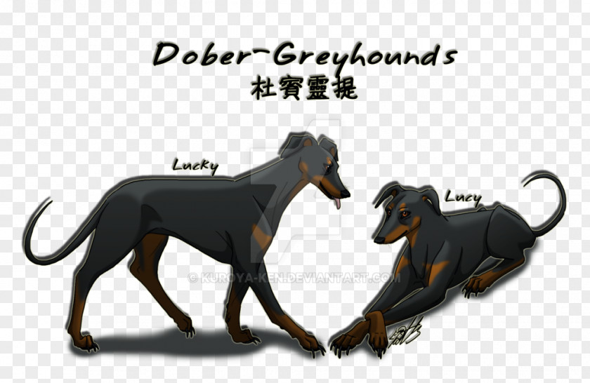 Greyhound Dog Breed Italian Sloughi Manchester Terrier Spanish PNG