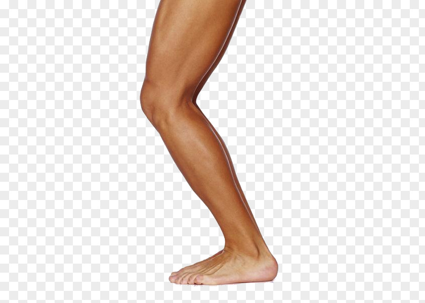 Human Leg Muscle Thigh Physical Exercise PNG leg exercise, Female side legs close-up knees clipart PNG