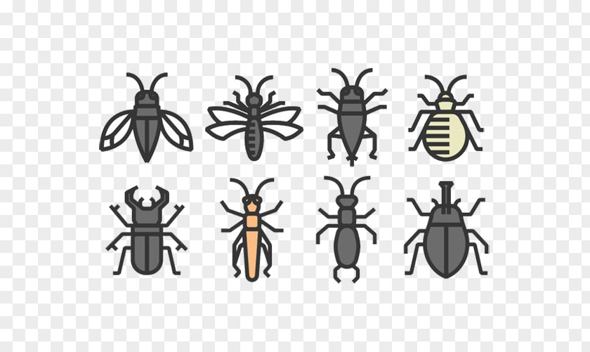 Insect Flies Mosquitoes Mosquito Euclidean Vector Icon PNG