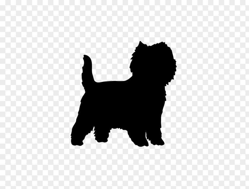 Puppy Affenpinscher Cat Dog Breed PNG