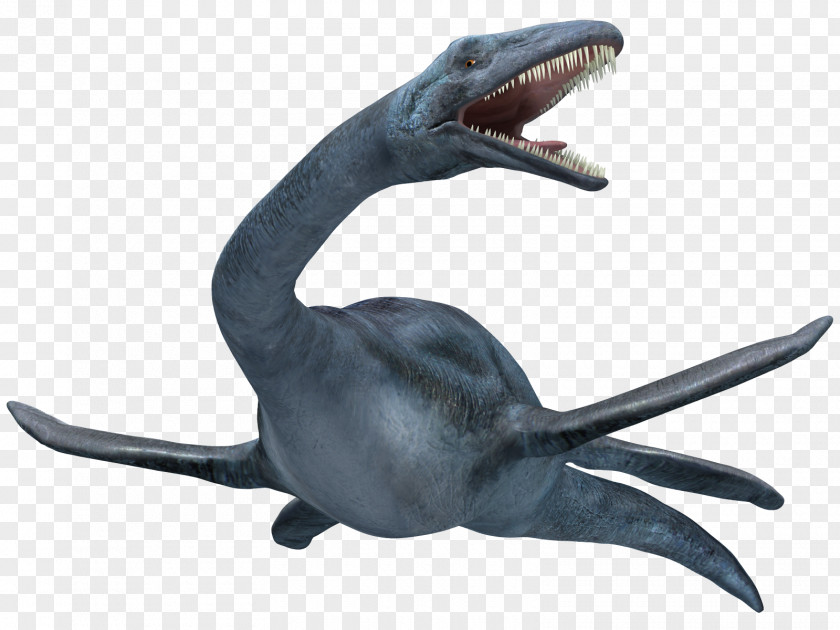 Star Ocean Elasmosaurus Plesiosauria Liopleurodon Styxosaurus Late Cretaceous PNG