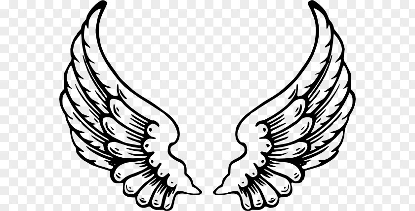 Wing Clipart Drawing Angel Clip Art PNG