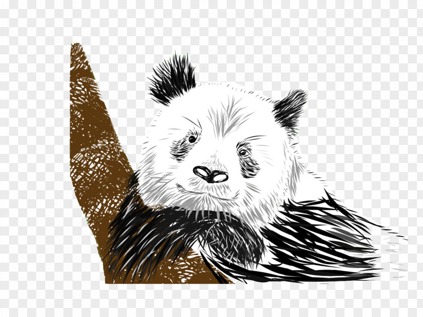 Hand-painted Panda Logo Bear Giant Drawing PNG