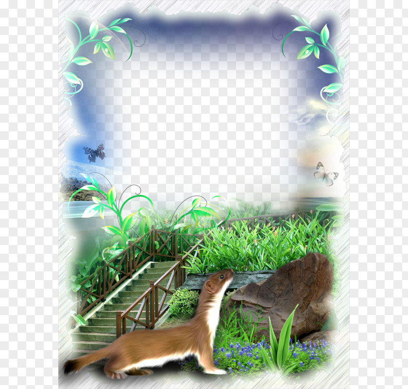 Purple Grass Ladder Frame Picture Nature PNG