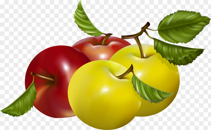 Apple Barbados Cherry Vector Graphics Fruit Vegetarian Cuisine PNG