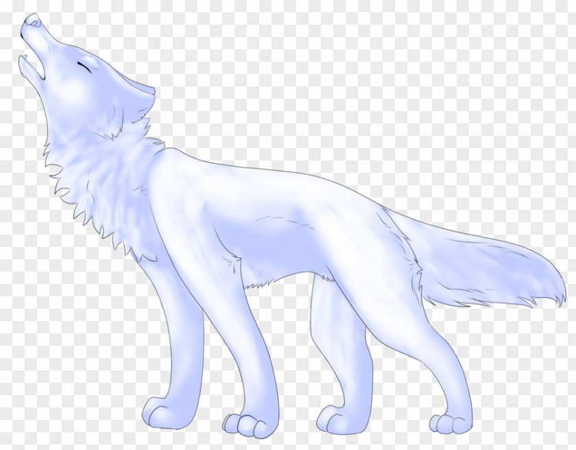 Dog Arctic Fox Cat Bear PNG