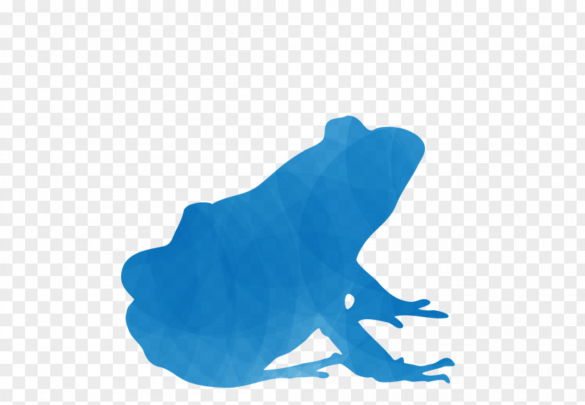 Frog Marine Mammal Turquoise PNG