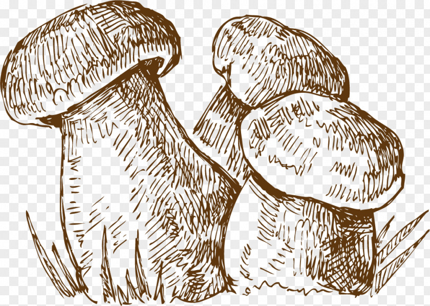 Hand Drawn Sketch Mushrooms Breakfast Baozi Malatang Food Eating PNG