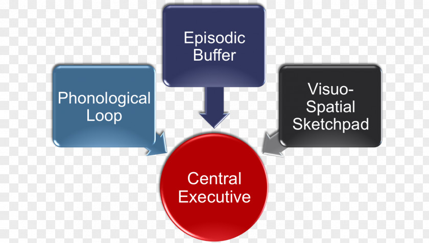 Psychology Organization Mental Health Disorder Therapy PNG