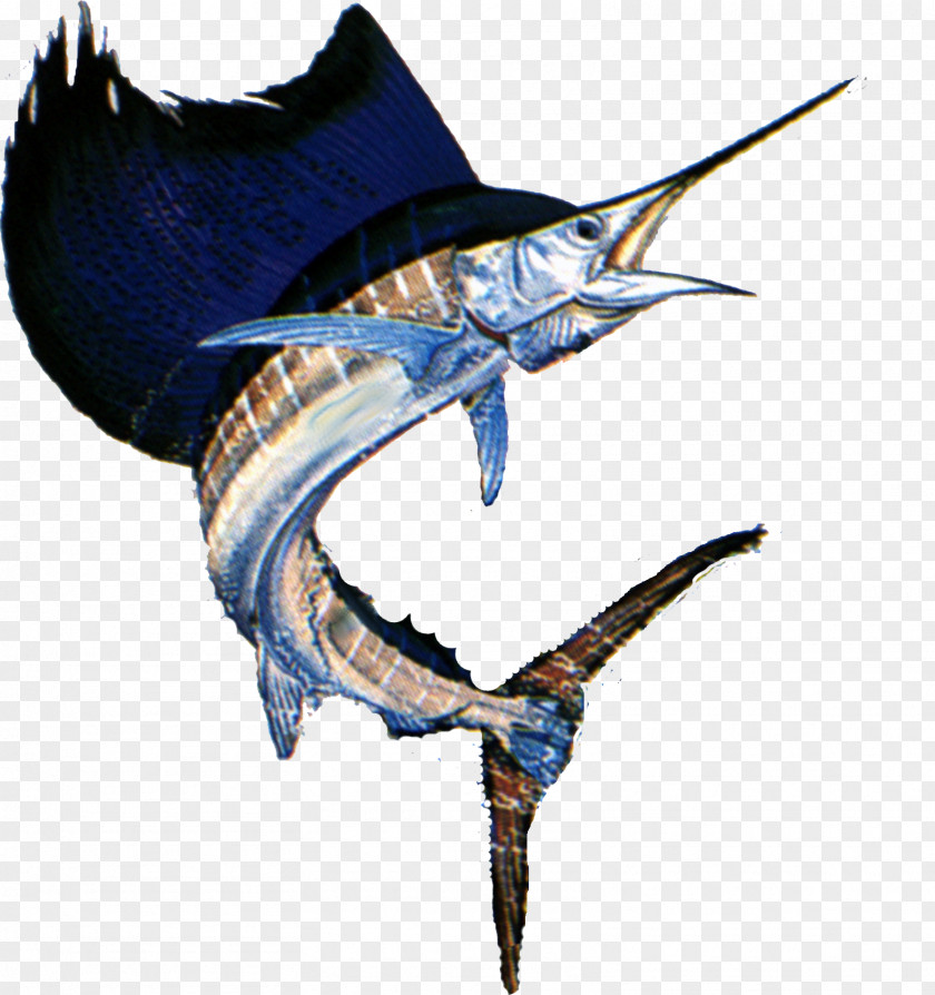 Sail Swordfish Yellowfin Tuna Atlantic Bluefin PNG