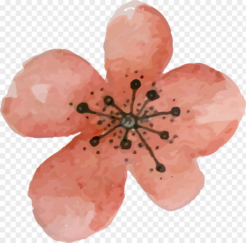 Watercolor Flowers Watercolour Painting Oil PNG