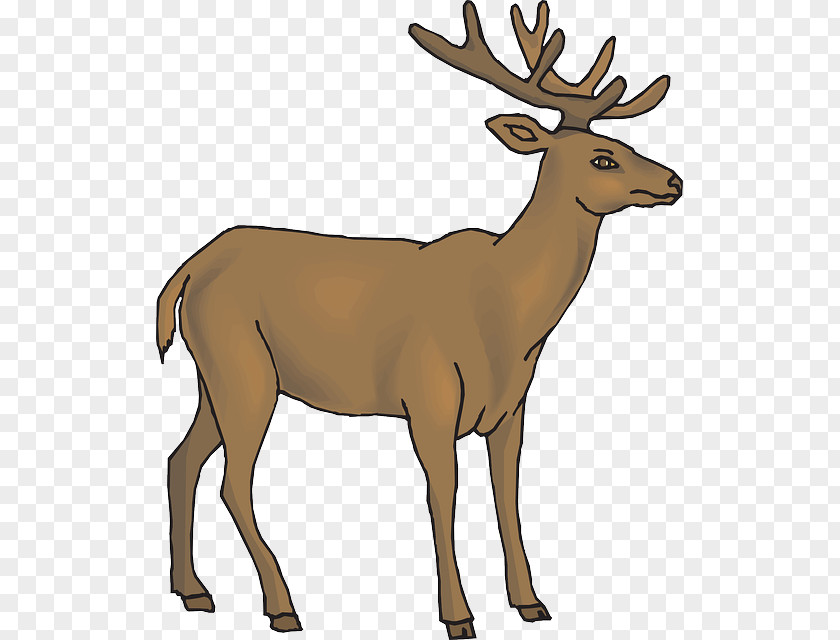 White Deer White-tailed Reindeer Rudolph Clip Art PNG