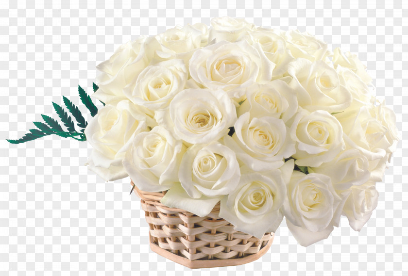 Funeral Birthday Daytime Wish Holiday Joy PNG