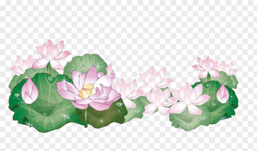 Jiangnan Lotus Pattern Background Material Drawing Water Flower Clip Art PNG