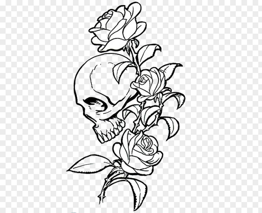 Skull Human Symbolism Rose Calavera Drawing PNG