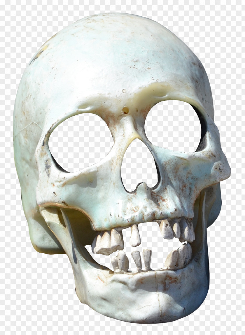 Skull Transparency And Translucency PNG