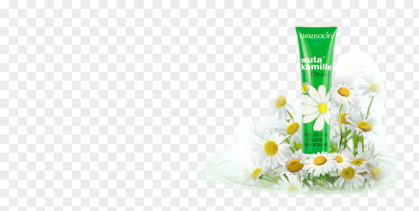 Small Chamomile Hand Cream Lotion Germany Iron PNG