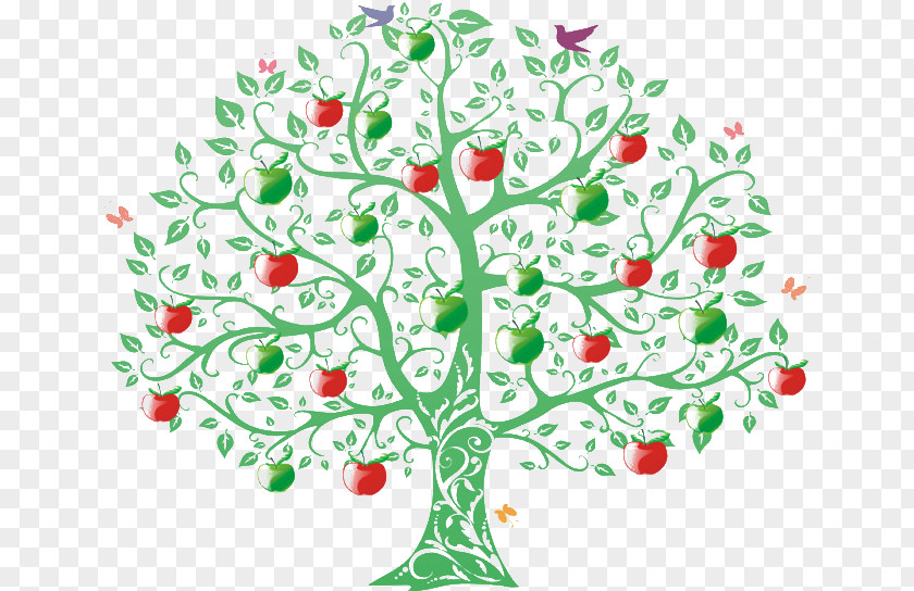 Covered Apple Fruit Teacher Tree Tutor Zazzle PNG