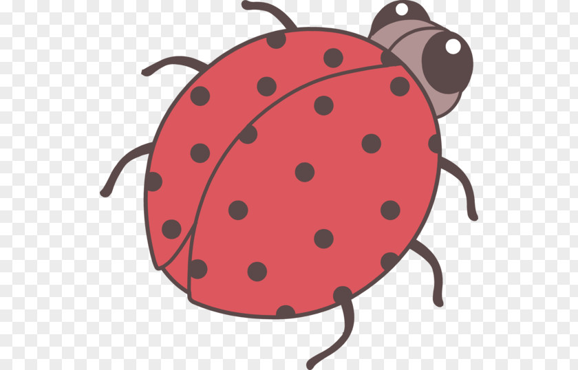 Cute Ladybug Beetle Drawing Ladybird Clip Art PNG