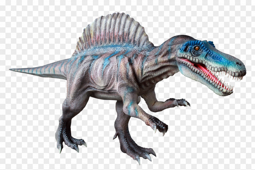 Dinosaur Tyrannosaurus Spinosaurus Baryonyx Triceratops PNG
