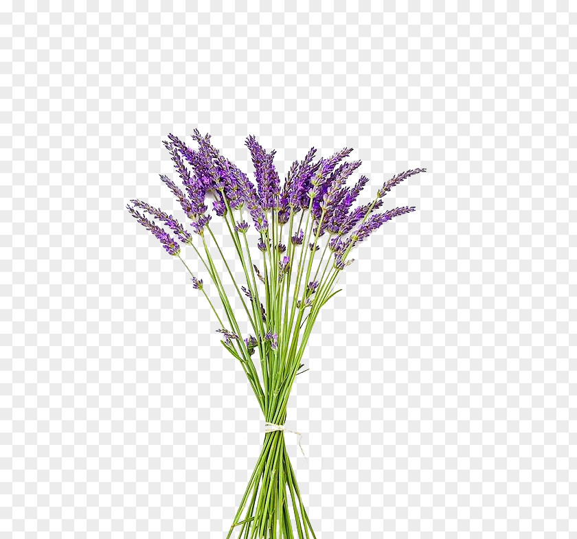 English Lavender Pressed Flower Craft Bouquet PNG