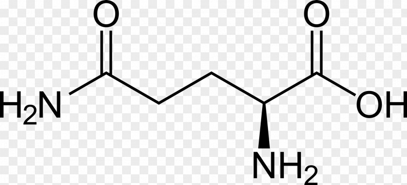 Glutamine Dietary Supplement Amino Acid Ornithine Methyl Group PNG