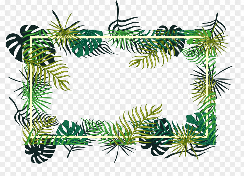 Leaf Picture Frames Decorative Arts Palm Trees Design PNG