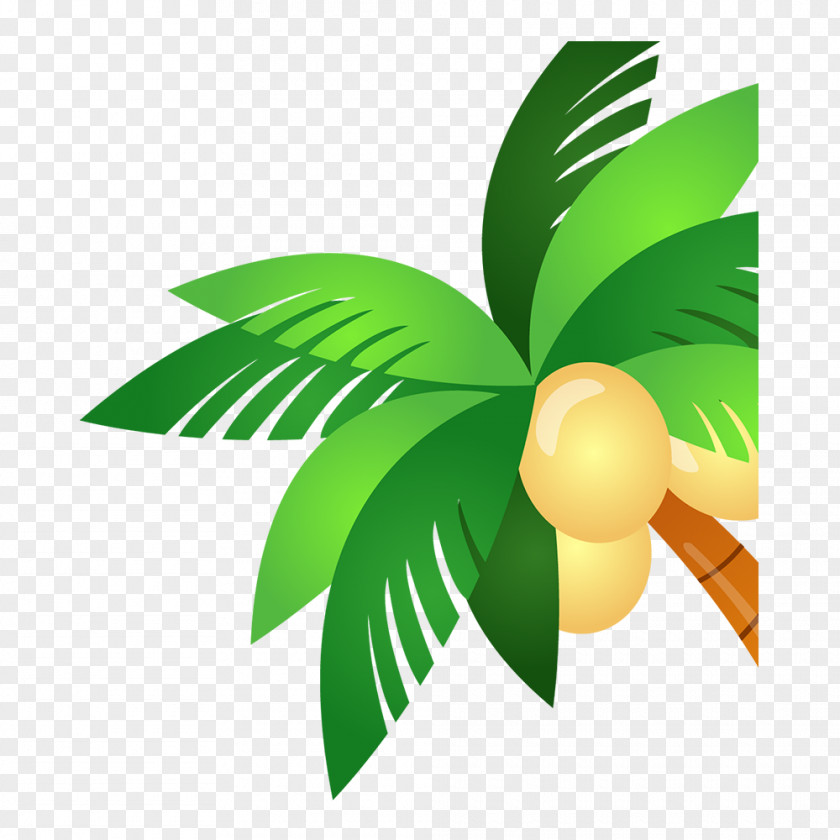 Packing Free Palm Trees Coconut Image ZYC351 PNG