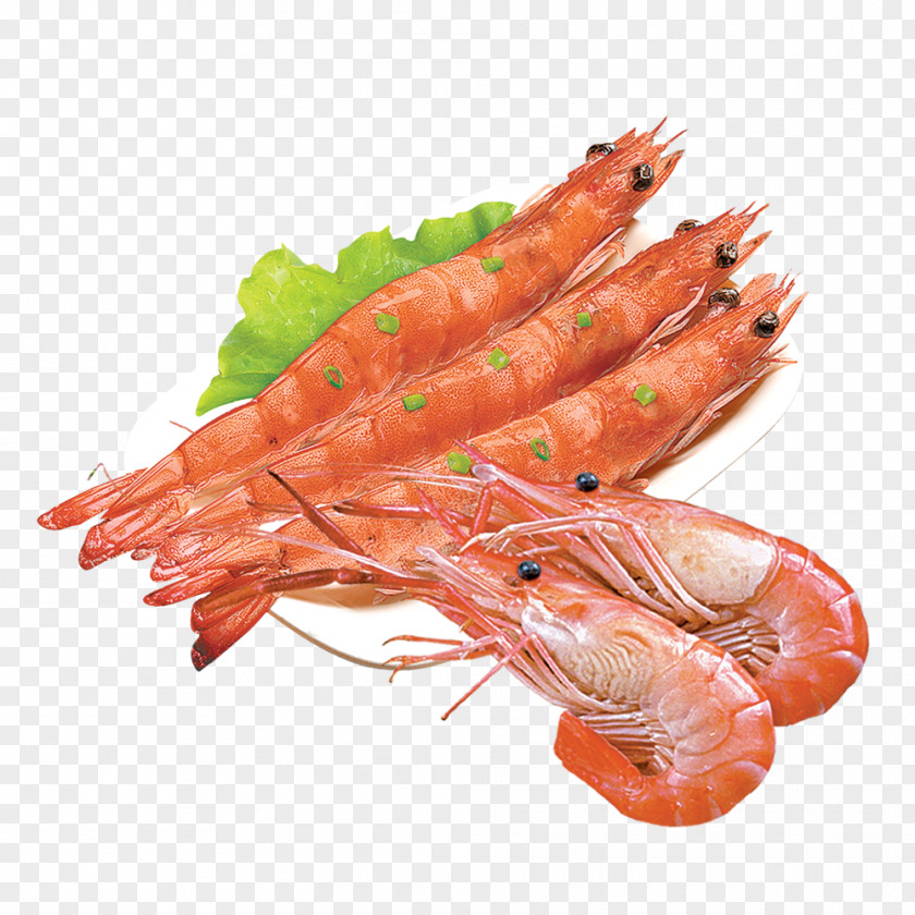 Seafood Caridea Shrimp Prawn PNG Prawn, shrimps clipart PNG