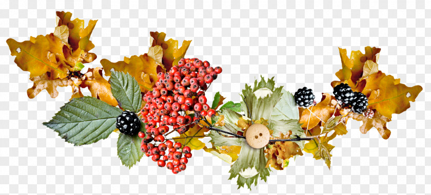 Sorbus Holly PNG
