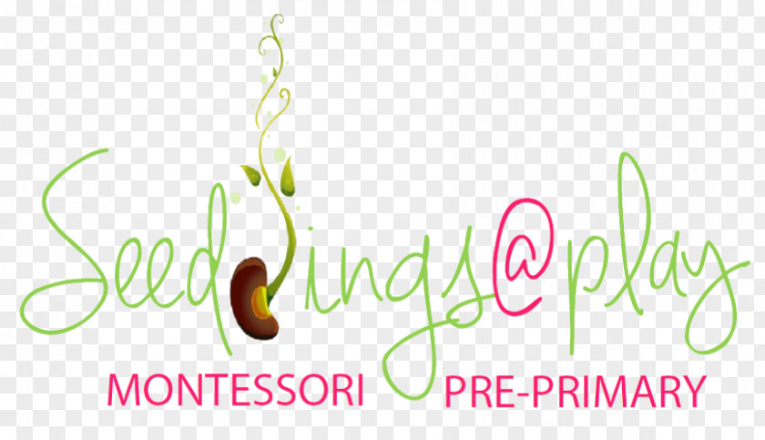 Spark Pe Classroom Logo Font Brand Product Desktop Wallpaper PNG