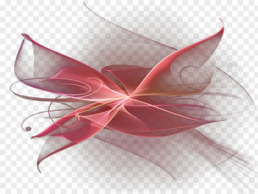 Abstraction Yandex Symmetry Idea PNG