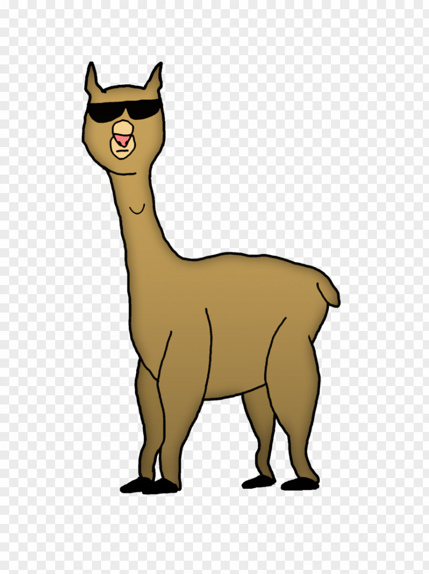 Alpaca Llama Drawing Cartoon PNG