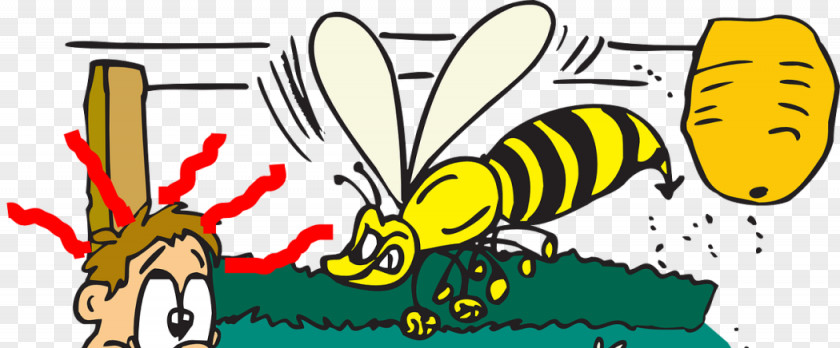 Chinese Wind Door Bumblebee Honey Bee Insect European Hornet Clip Art PNG
