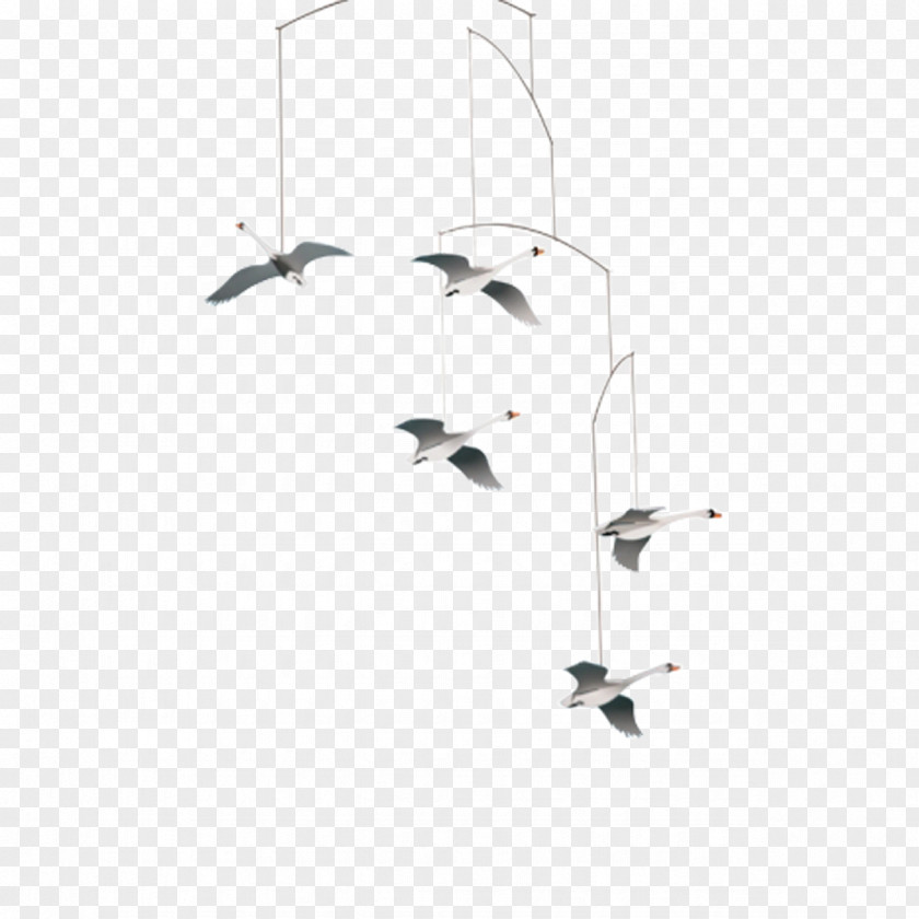 Coconuts Hanging Flensted Mobiler Cygnini The Ugly Duckling PNG