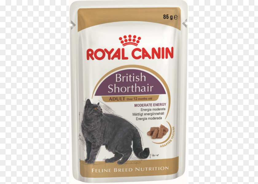 Dog British Shorthair Cat Food Kitten Maine Coon PNG