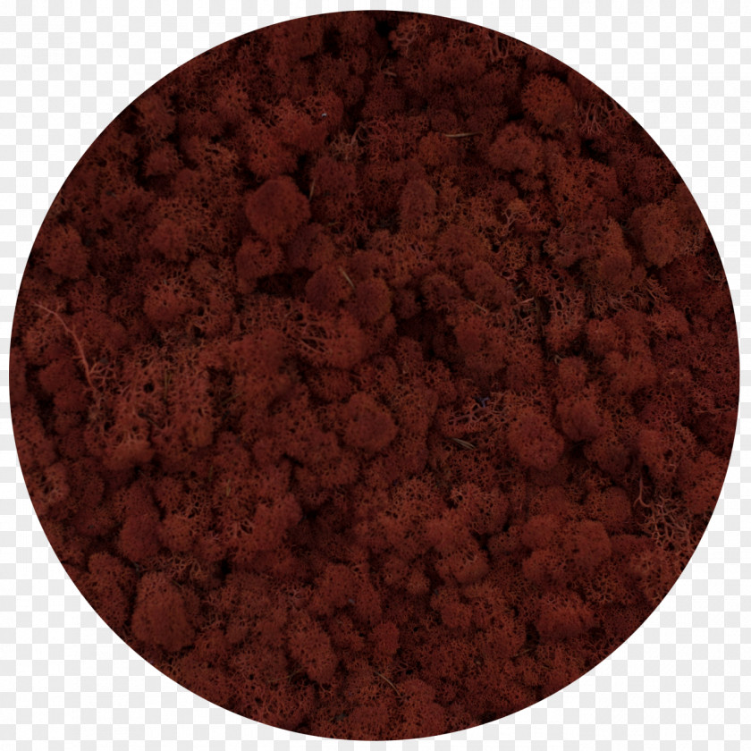 Moss Log Soil PNG